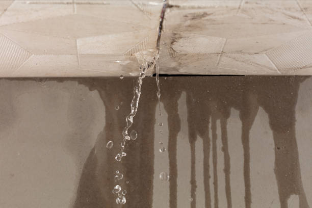 Professional Water Damage Inspection technician working in Union City, OH